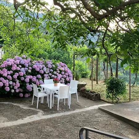 Il Ciliegio Stella Cilento