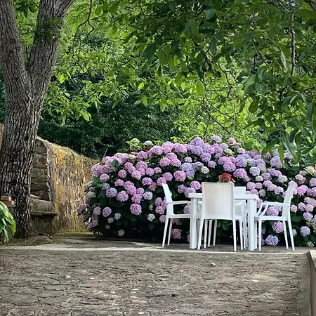 Il Ciliegio Holiday home *